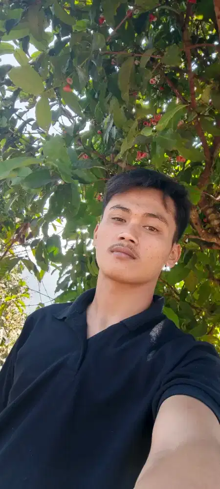 Mencari lowongan Kerja
