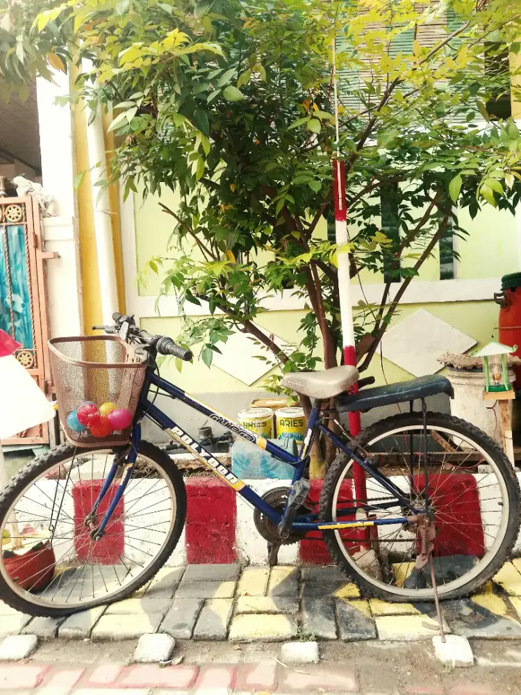 Sepeda Polygon lady revier