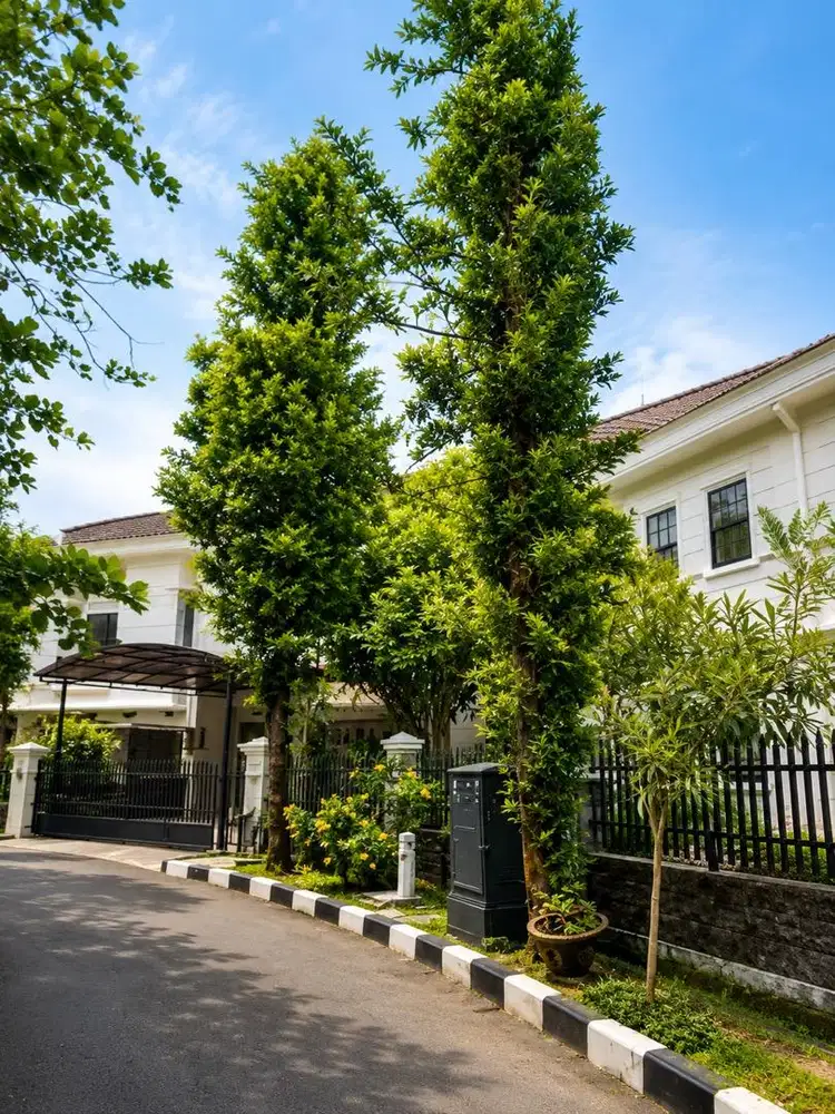 Dijual Rumah Mewah + Swimmingpool Di Bukit Mas Rempoa Jakarta Selatan