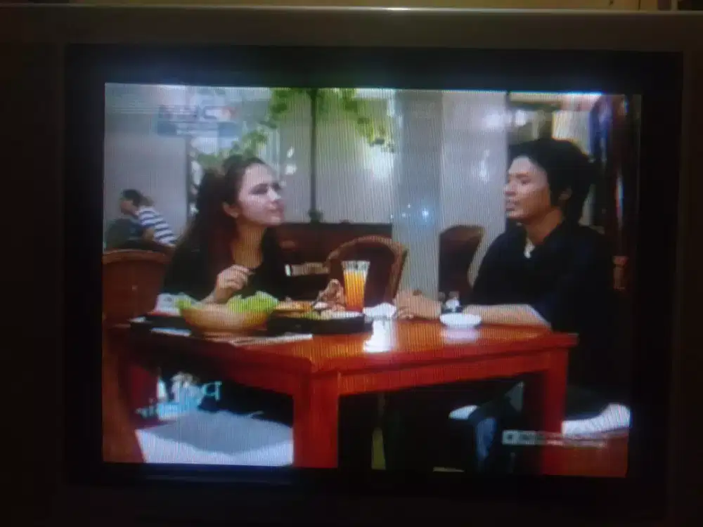 TV POLYTRON U-SLIM + STB