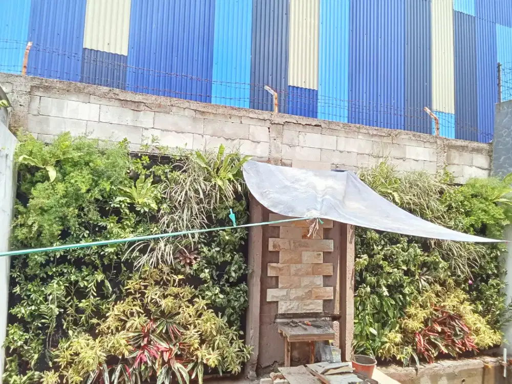 Vertical garden