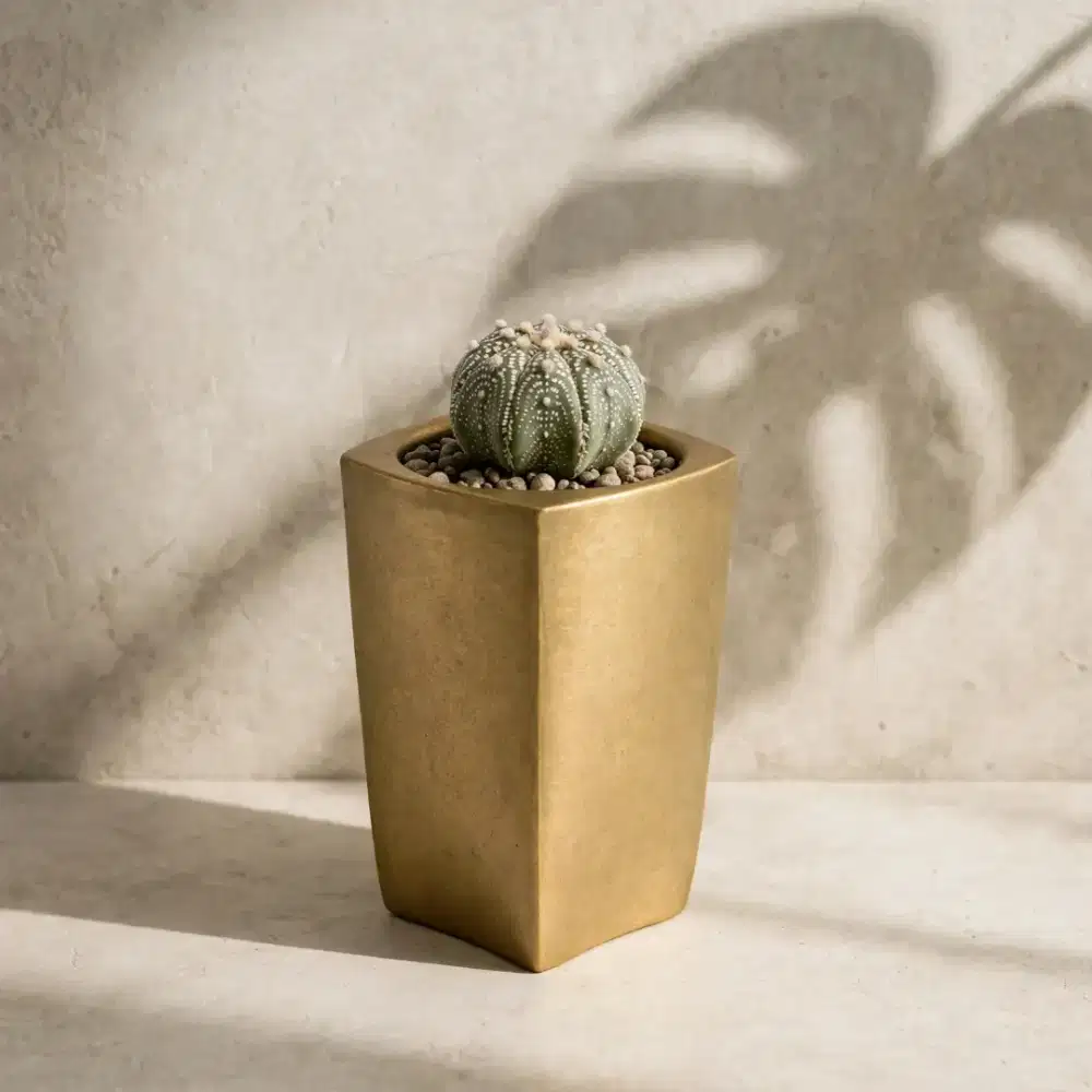 POT KAKTUS CLS01 ESTETIK MINIMALIS - POT SUKULEN CONCRETE PREMIUM