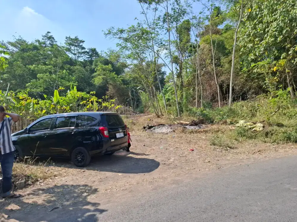 DIJUAL LAHAN KOSONG DAN SAWAH