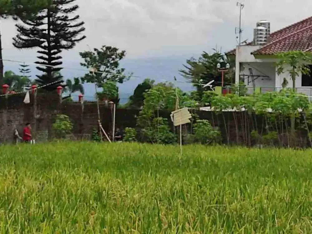 DIJUAL TANAH PINGGIR JALAN DI CIADEG CIGOMBONG BOGOR AKSES TOL BOCIMI