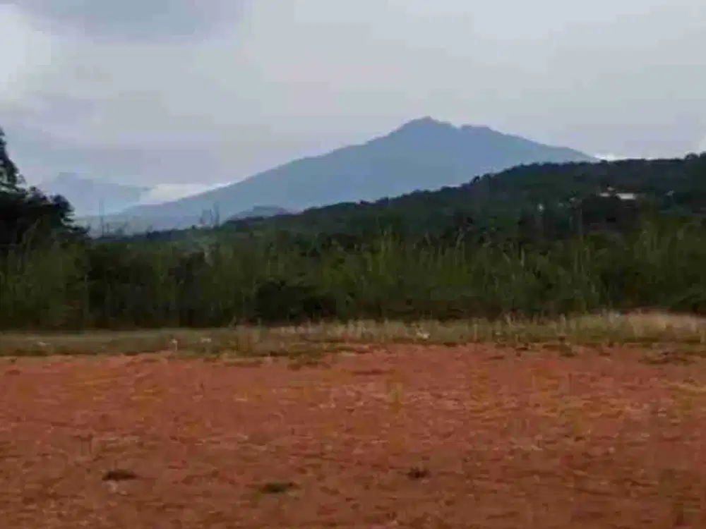 di jual lahan kebun view gunung, datar, akses mobil, shm di Leuwiliang bogor
