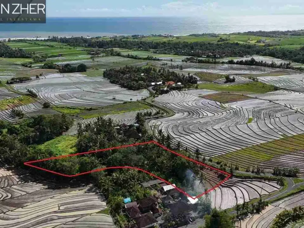 SALE!! TANAH VIEW SAWAH DAN GUNUNG, BERABAN TABANAN BALI