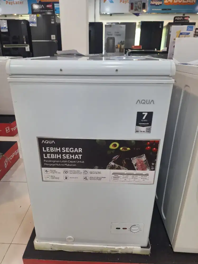 FREEZER BOX GEA 100 LITER 