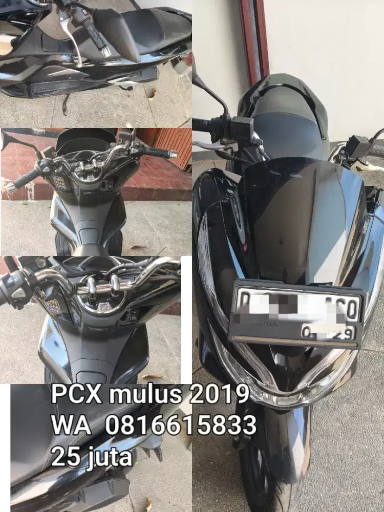PCX mulus koleksi simpenan 2019 cakep