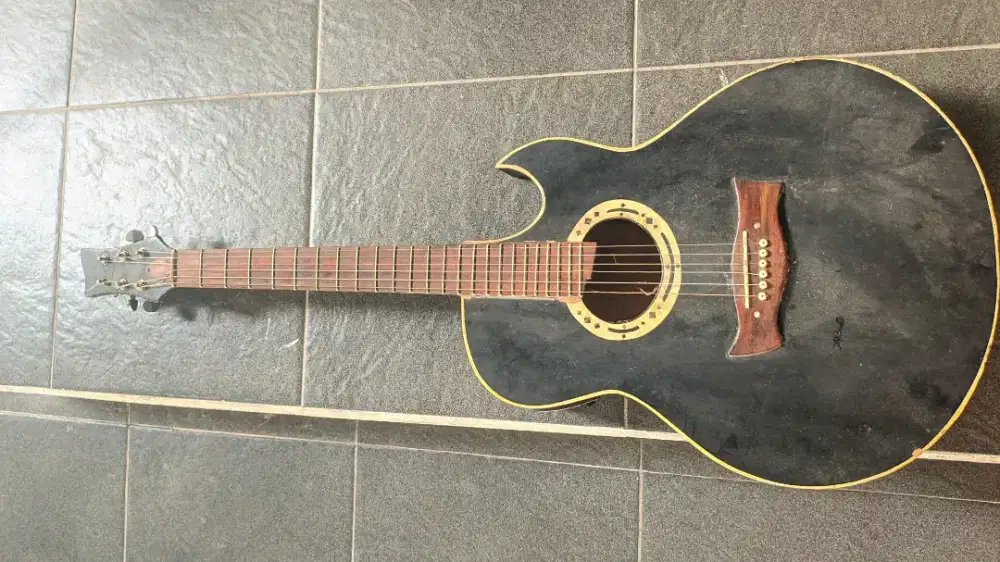 Gitar akustik elektrik ibanez EP 5 Euphoria (Bahan)