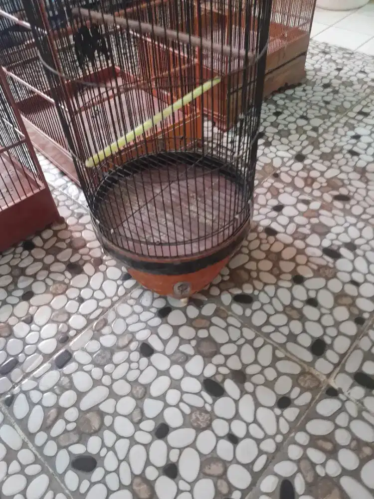 Jual Kandang burung versi borongan
