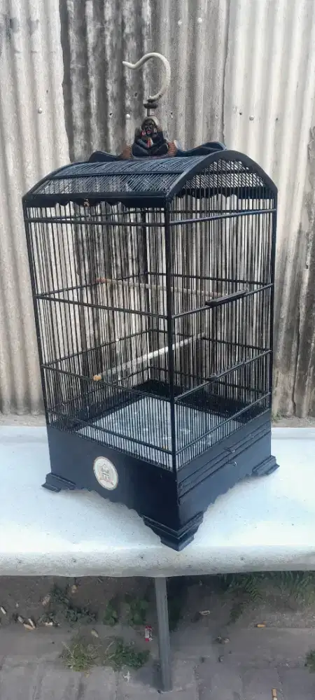 Sankar kosan hitam