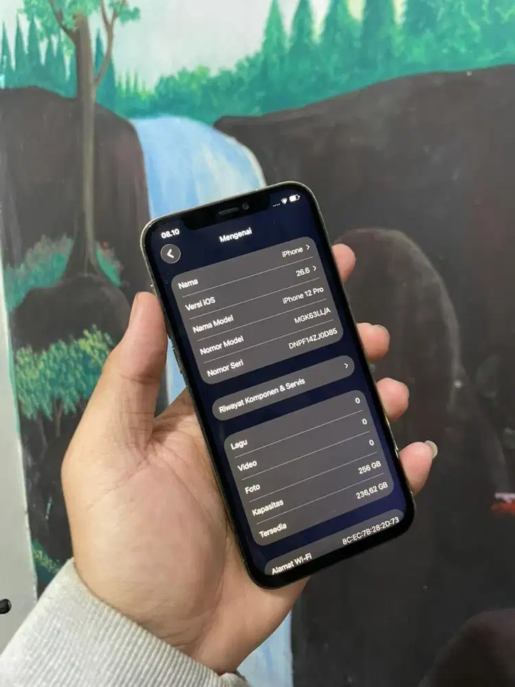 Iphone 12 pro 256