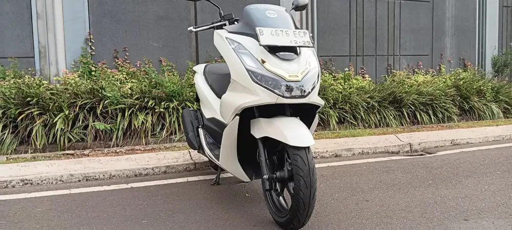 PCX 160 2024 white pavorite
