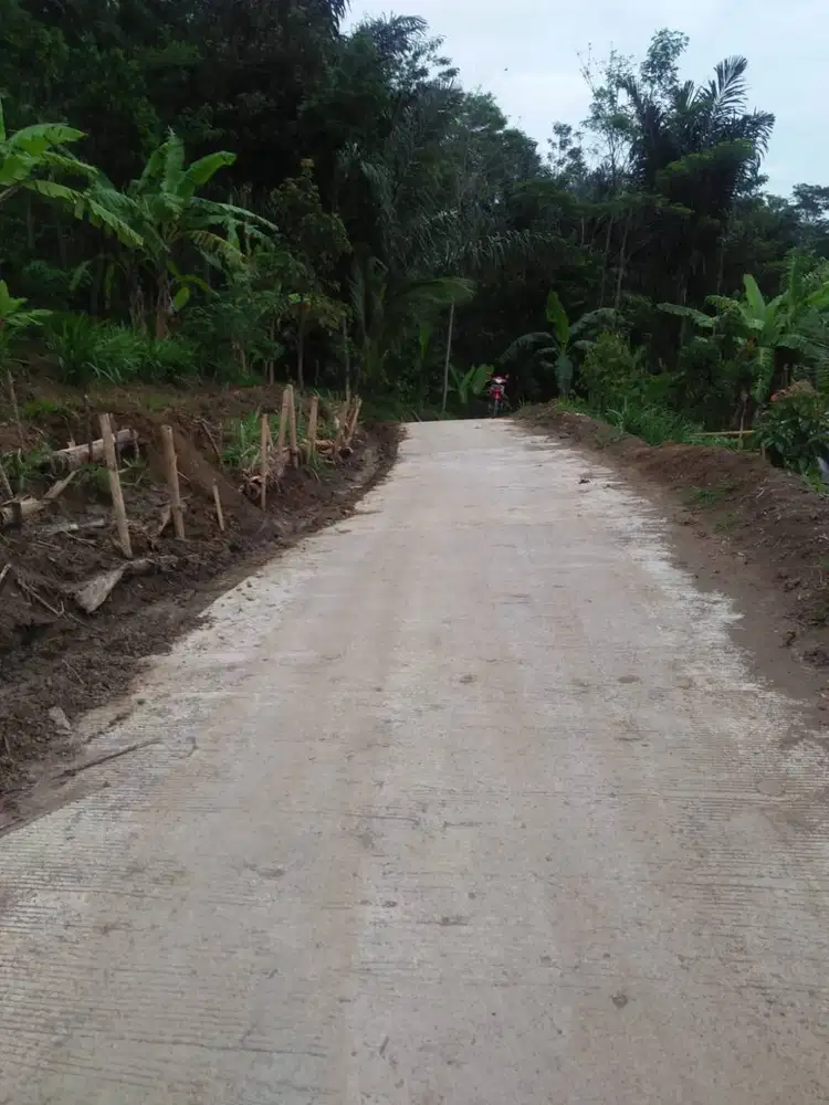 JUAL TANAH PERTANIAN LUAS 6165 m2 SHM akses jalan cor beton roda 2 & 4
