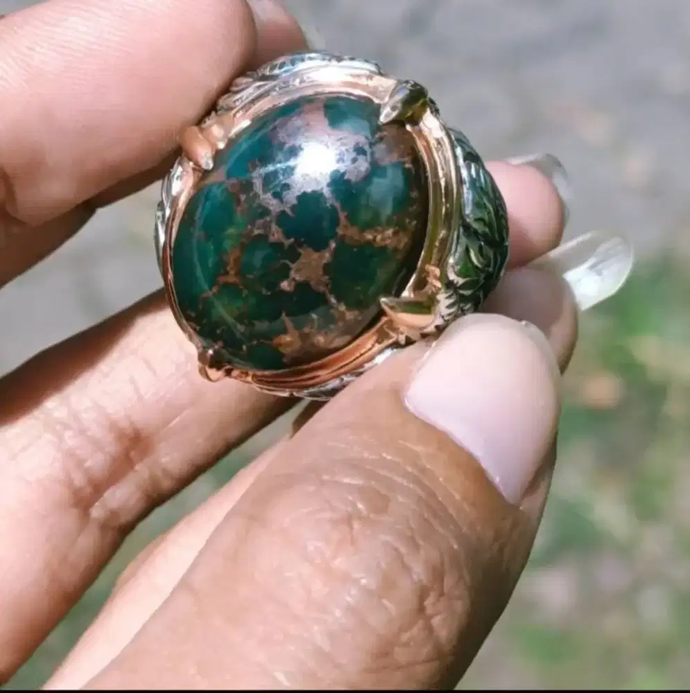 Pirus Persia hijau kedondong