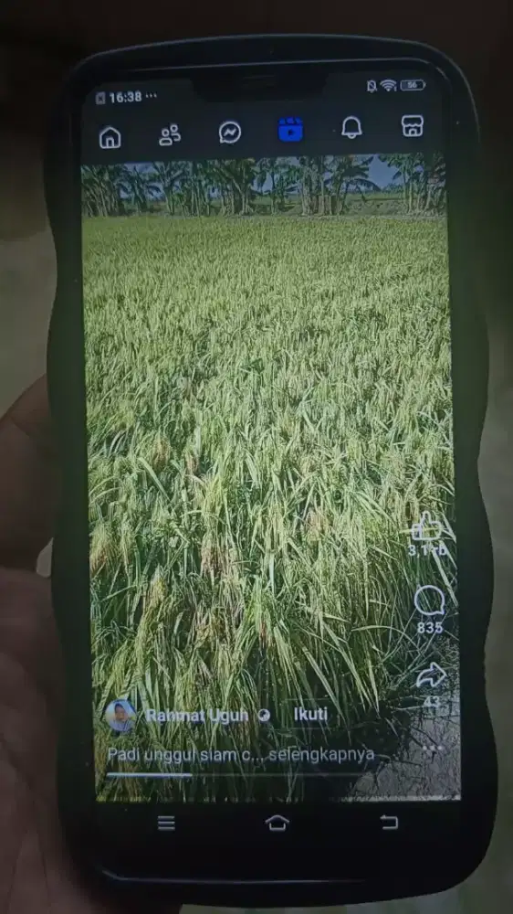 jual hp vivo layar bsar enak nonton yutube harga 495ribu