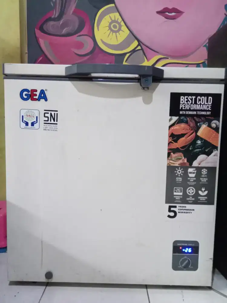 Freezer Box Gea 210L