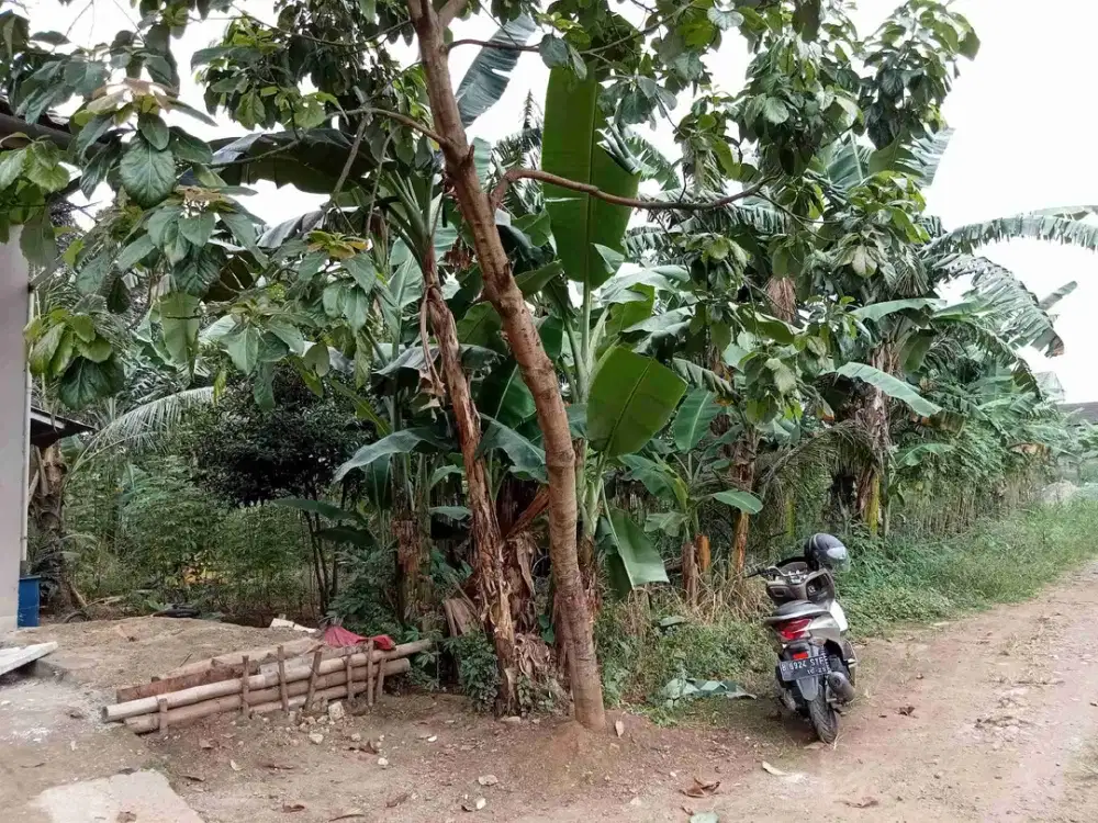 Dijual tanah murah dikavling BRI Ciputat