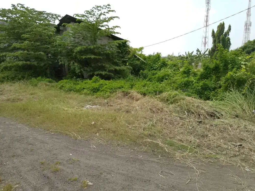Dijual Cepat Tanah di Teluk Pucung, Bekasi
