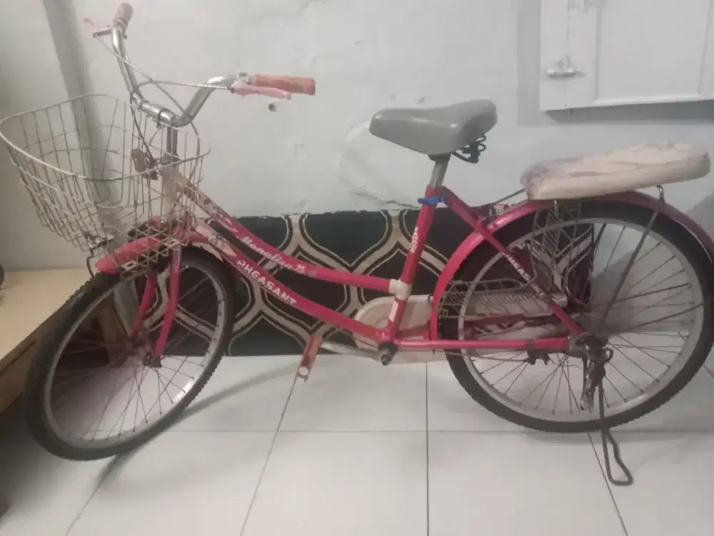 Jual sepeda mini keranjang size 24