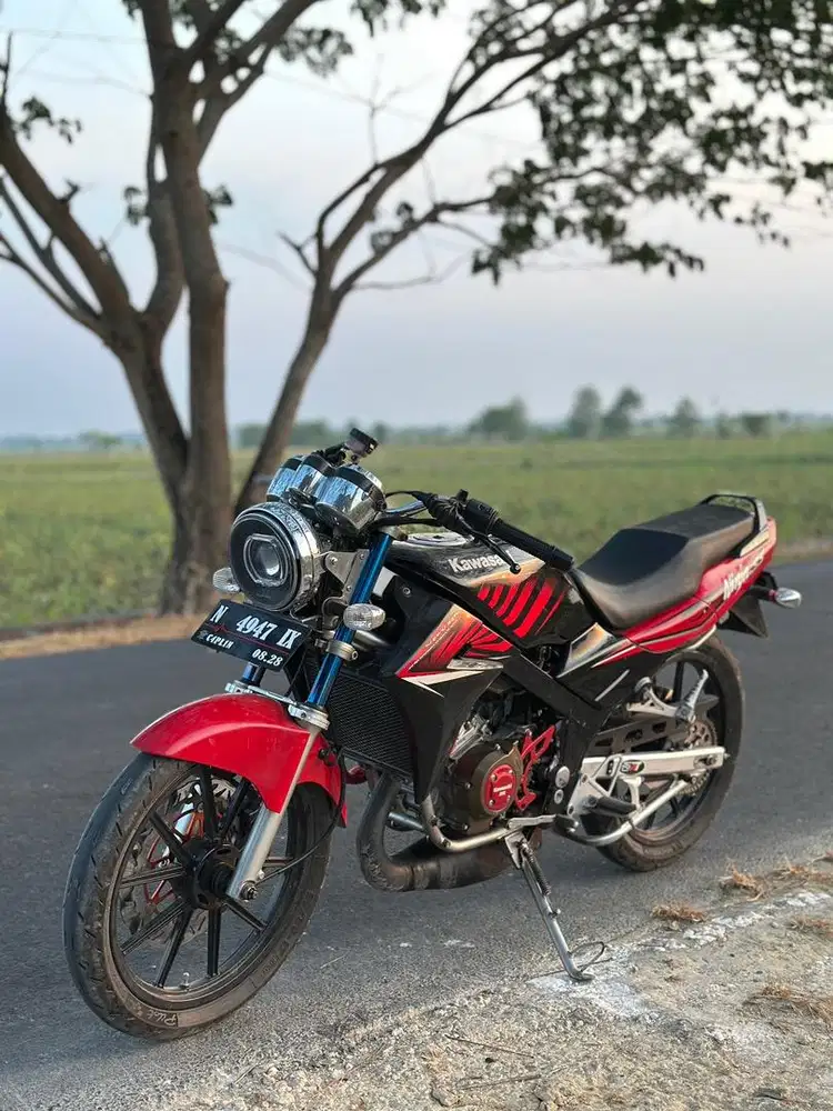 Ninja SS zebra 2014