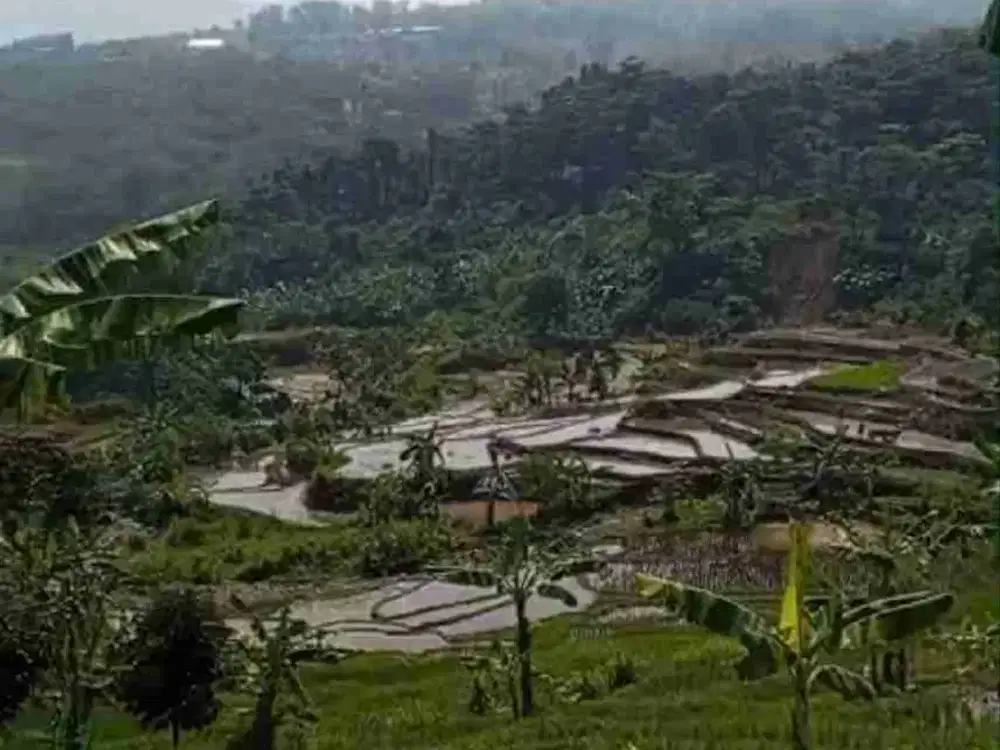 Tanah Asri di pedesan View Sawah dan Gunung & Kali besar