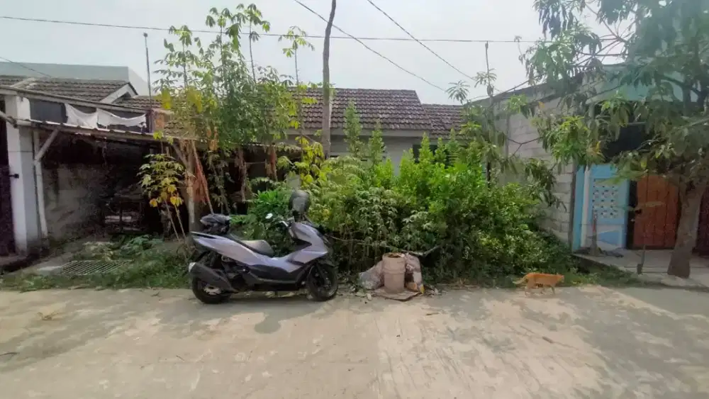 Jual cepat murah