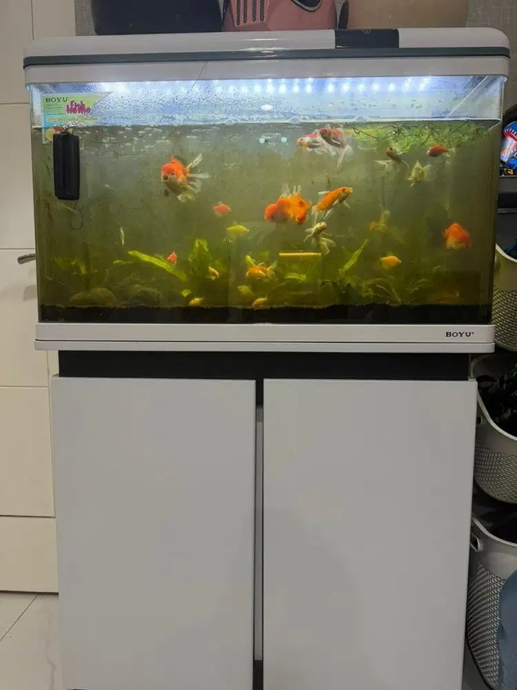 Boyu Aquarium Kabinet 128 Liter + Filter Tambahan Azko baru beli 3bln
