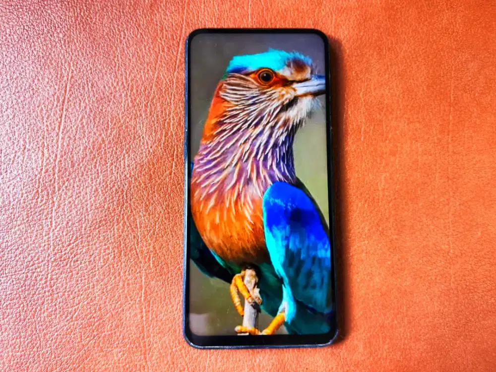 Vivo v15 6 / 64 GB
