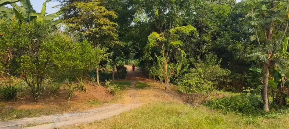 Jual tanah/kebun