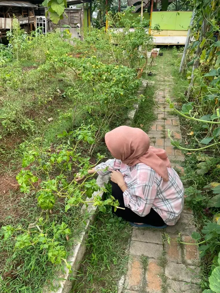 Cari pekerjaan, info lokernyaa