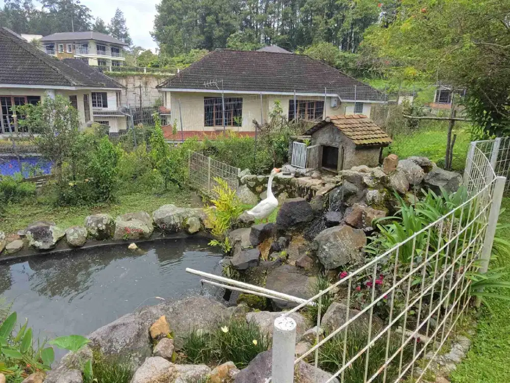 DI JUAL VILLA DI COLIBAH PUNCAK 4200M PUNCAK .