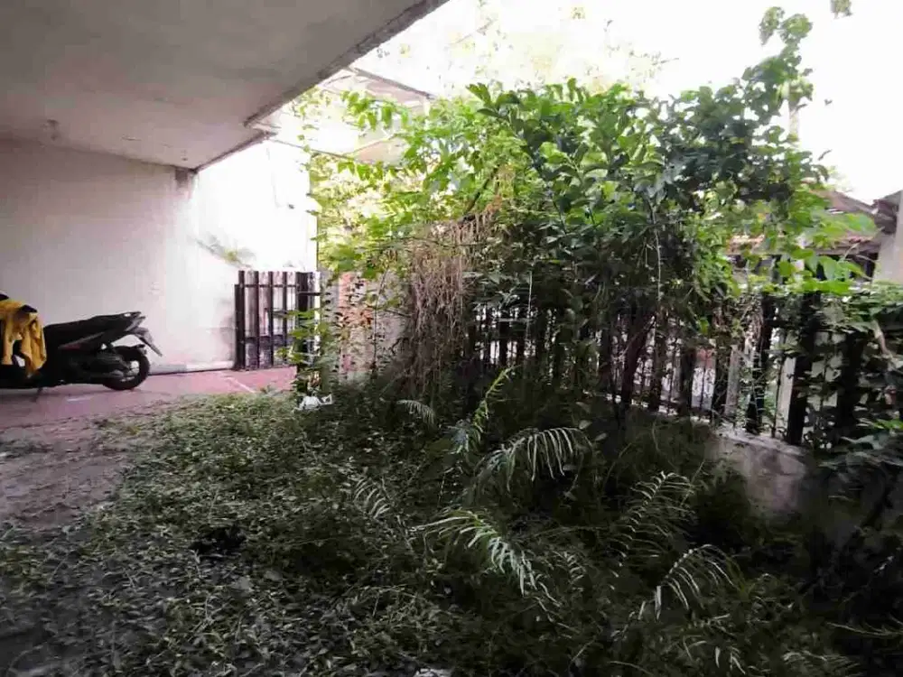 Dijual Cepat Rumah Hitung Tanah
