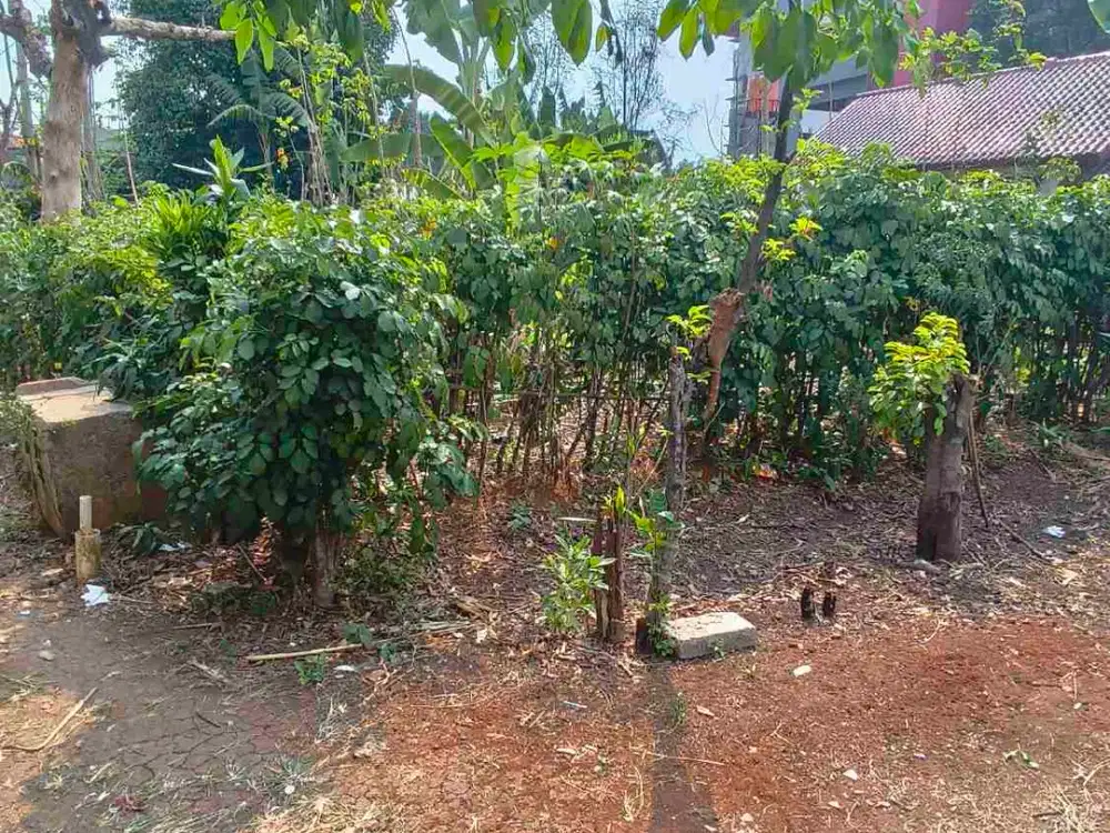 jual murah dan jarang ditemukan dilokasi super.