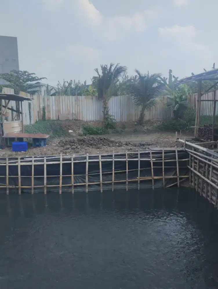 Dibutuhkan petani ikan lele