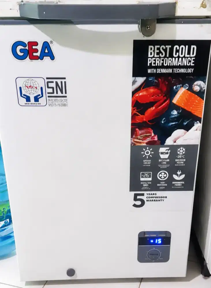 Frezzer gea 100L