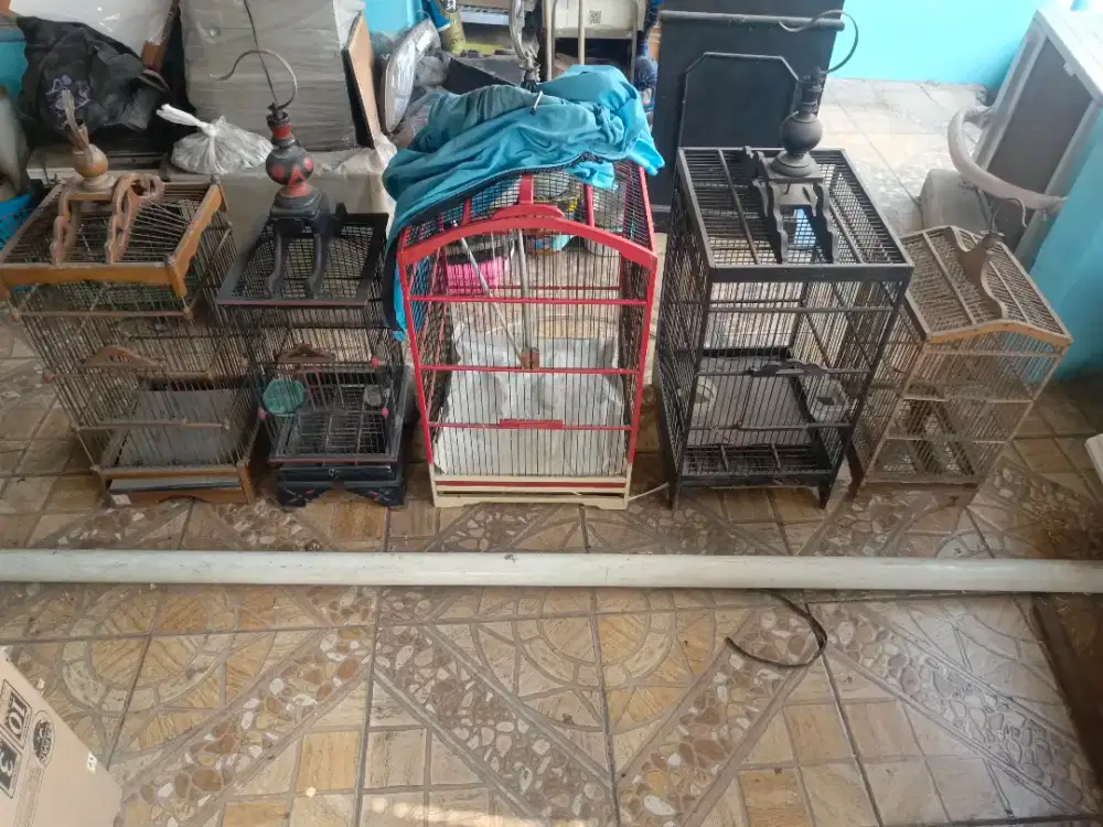 Kandang Burung borongan