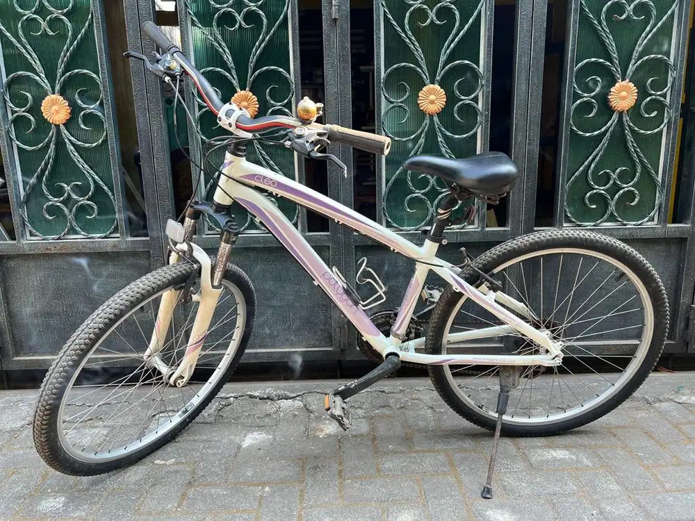 Sepeda Cleo Masih Bisa Dipakai Normal