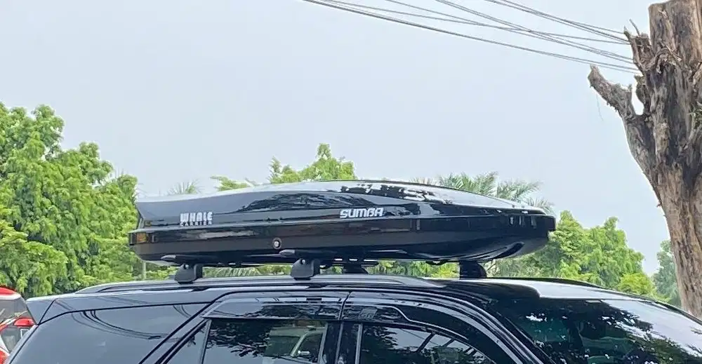 roofbox whale sumbar