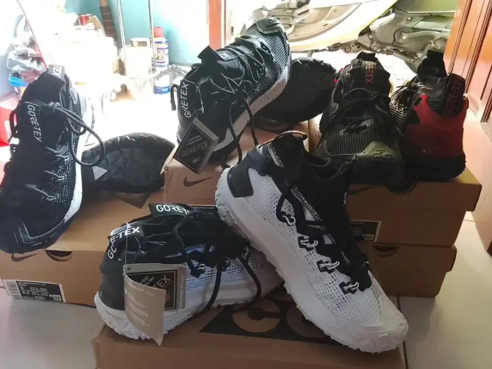 Nike ACG Mountain Fly 2 low
