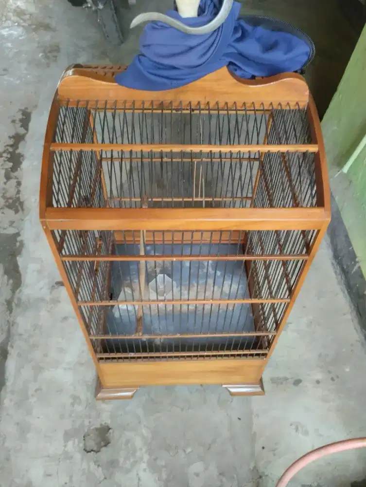 Sangkar kosan 40x40