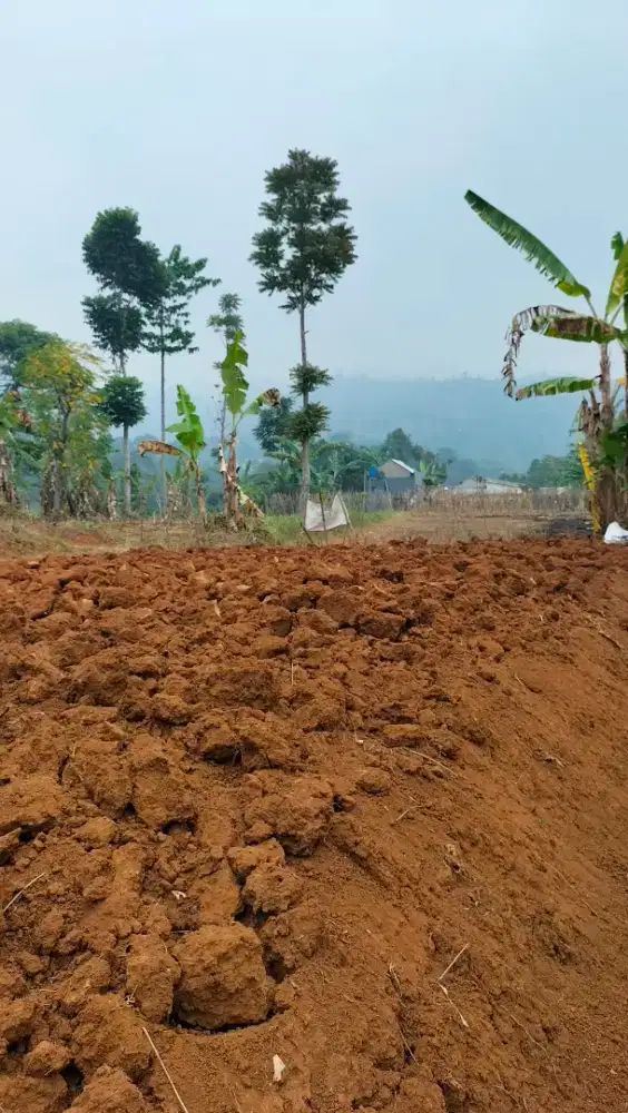 JUAL CEPAT TANAH KAVLING SIAP BANGUN