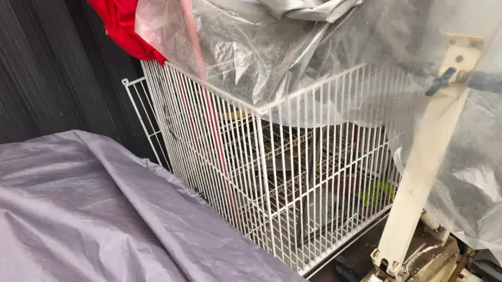 Kandang kucing besi kokoh besar