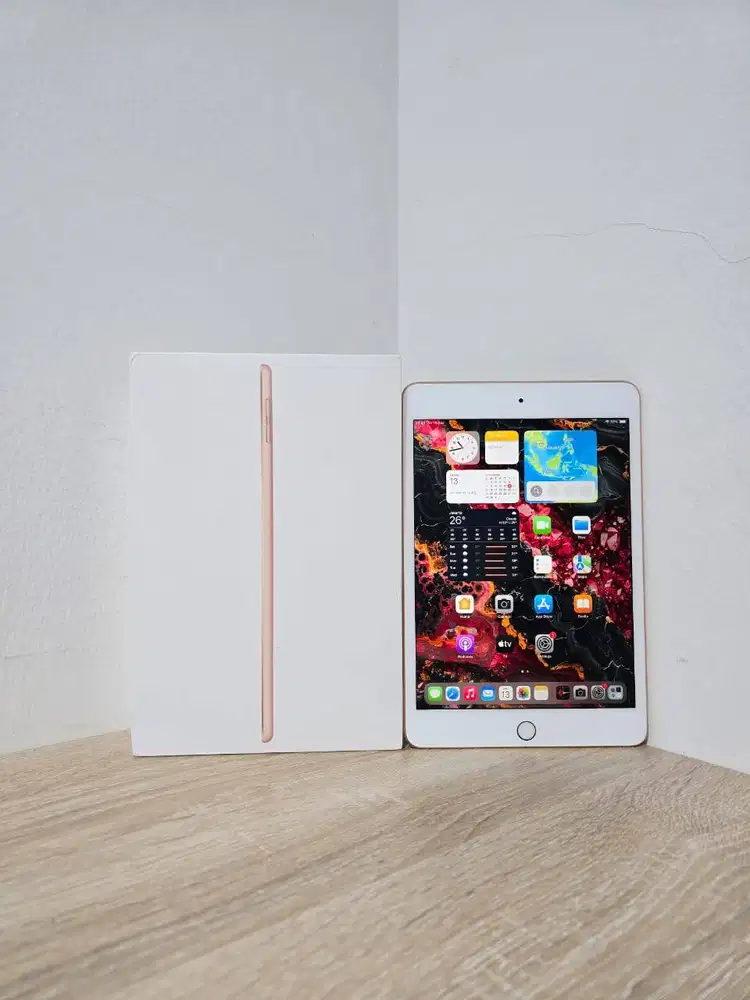 Apple iPad Mini 5 256GB 256 GB Wifi Only 5th Gen 2019 Mantap