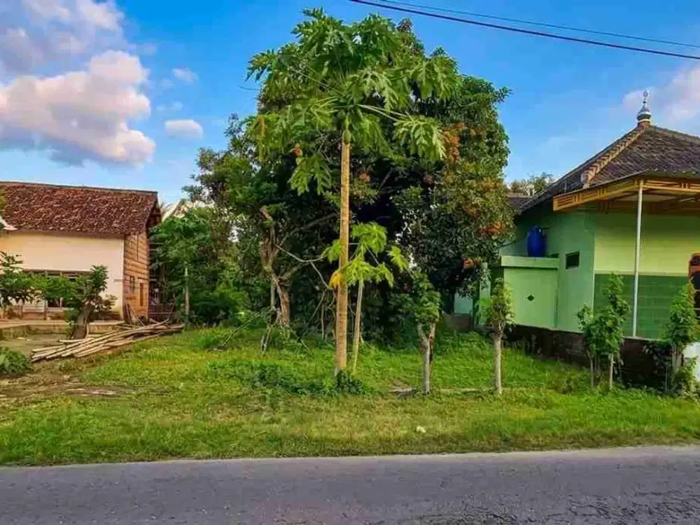JUAL TANAH BAGUS KAUMAN SRENGAT BLITAR