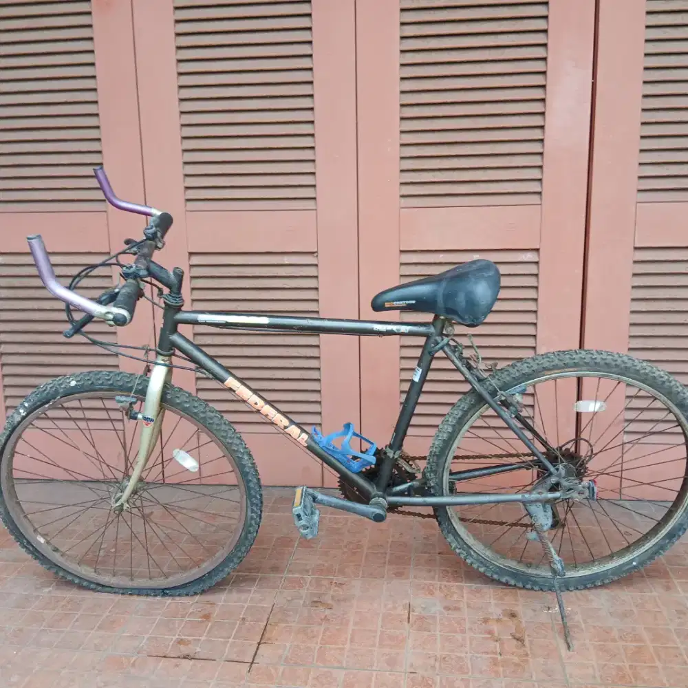 Sepeda Federal Alley Cat ORIGINAL- Sepeda Gunung - MTB