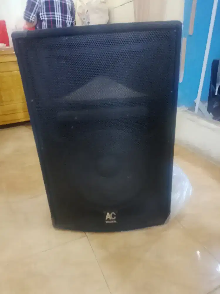 Speaker 15 inch