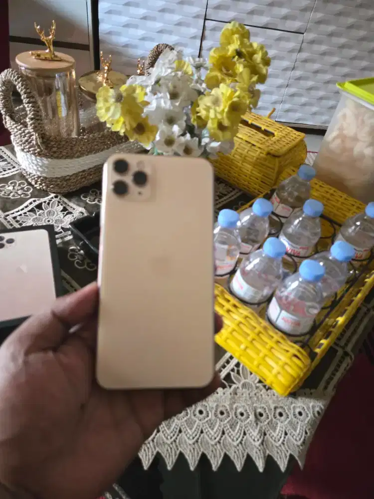 iPhone 11 Pro Max All Operator