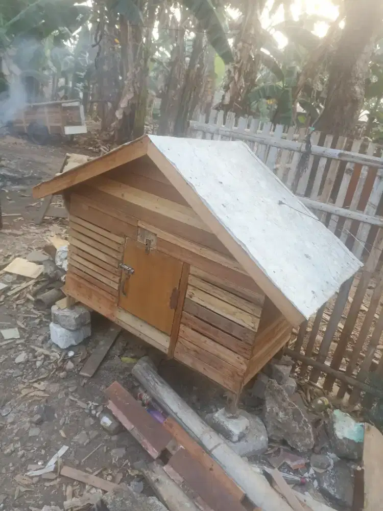 Terima bikin kandang ayam atau kandang bebek