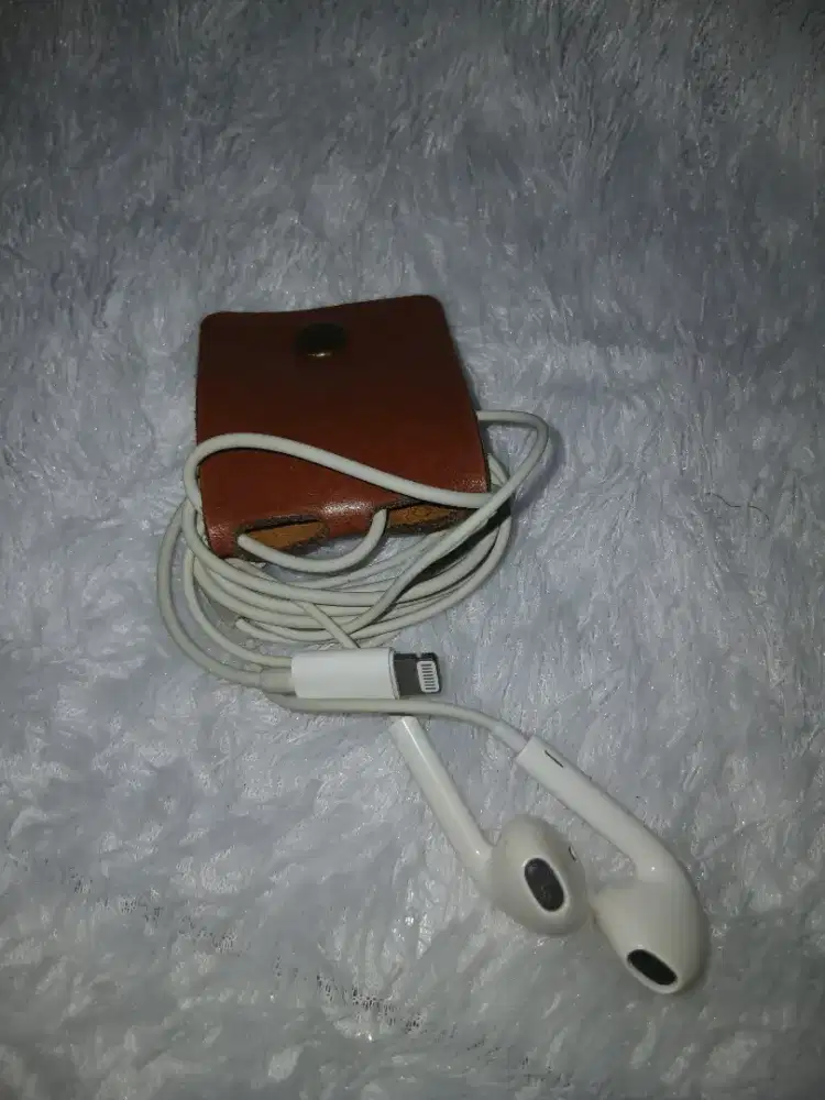 Earpods With Lightning Connector